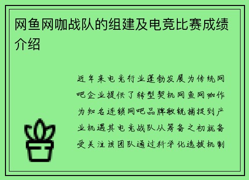 网鱼网咖战队的组建及电竞比赛成绩介绍